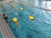 A group of people swimming in the pool.